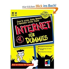 Internet f�r Dummies. Gegen den t�glichen Frust mit dem Internet