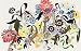 Books : The Judith Rothschild Foundation Contemporary Drawings Collection Boxed Set