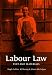 Books : Labour Law: Text and Materials