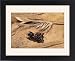 Framed Prints of PPG-1653 Bamboo - dry flowers and seeds from Ardea Wildlife Pets
