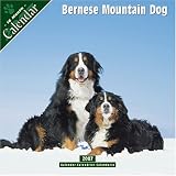 Bernese Mountain Dog 2007 Wall Calendar