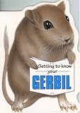 Getting to Know Your Gerbil (Getting to Know Your...)