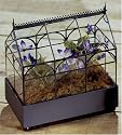 Triple Arches Tabletop Terrarium