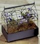 Triple Arches Tabletop Terrarium