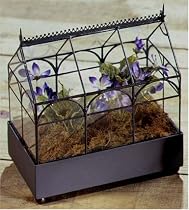 Triple Arches Tabletop Terrarium