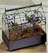 Triple Arches Tabletop Terrarium