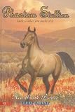 Phantom Stallion #13: Heartbreak Bronco (Phantom Stallion)
