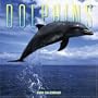Dolphins 2006 Calendar