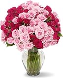 100 Blooms of Pink Spray Roses with Hourglass Vase