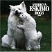 American Eskimo Dogs 2006 Calendar