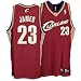 LeBron James adidas NBA Maroon Authentic Cleveland Cavaliers Jersey - 40