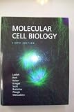 Molecular Cell Biology