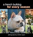A French Bulldog for Every Season