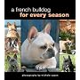 A French Bulldog for Every Season