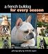 A French Bulldog for Every Season