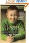 A Great Feast of Light: Growing Up Irish in the Television Age