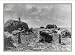 Historic Print (L): [Idaho - Boise - harvesting alfalfa]
