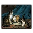 A Proud Mother - Gift Enclosure Cards (set of 12)