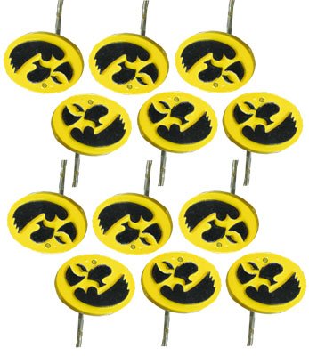 Iowa Shower Hook Set