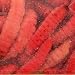 Magic Products Preserved Select Wax Worms Color: Red (5239R)