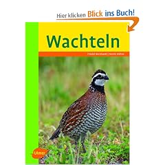 Wachteln