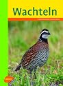 Wachteln