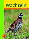 Wachteln