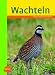 Wachteln