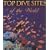 Top Dive Sites of the World