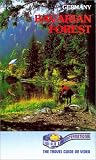 Travel Germany:Bavarian Forest