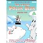 The Little Polar Bear - Series 1 [DVD]