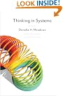 Thinking in Systems...