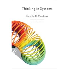 Thinking in Systems: A Primer