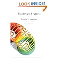 Thinking in Systems: A Primer
