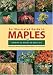 An Illustrated Guide to Maples (Illustrated Guides)
