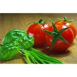 Poster 60 x 40 cm - "Tomaten III" von Tanja Riedel - auch in anderen Gr��en und als Leinwandbild erh�ltlichvon "POSTERLOUNGE"