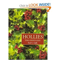 Hollies: The Genus Ilex
