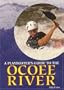A playboater's guide to the Ocoee River