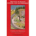 The Yoga of Delight, Wonder, and Astonishment: A Translation of the Vijnana-Bhairava (Suny Series in Tantric Studies) book cover
