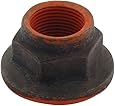 Allstar ALL72155 Differential Pinion Nut for Ford 8.8" and Standard Ford 9" Differential