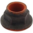 Allstar ALL72155 Differential Pinion Nut for Ford 8.8" and Standard Ford 9" Differential