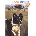 Understanding Border Collies