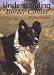 Understanding Border Collies