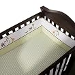 FAO Schwarz Journey Fitted Crib Sheet - Green Stripe