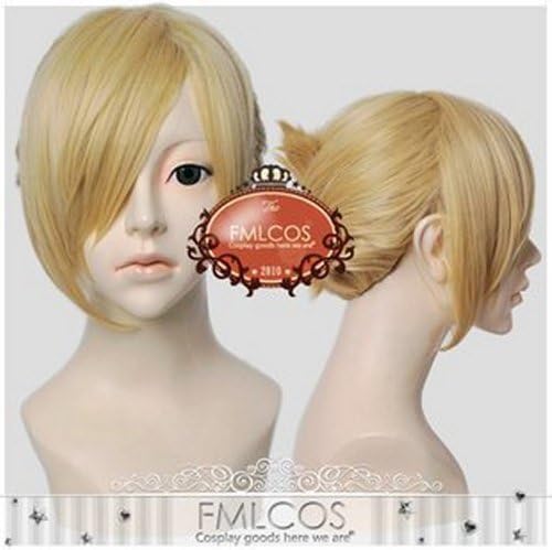 Now popular Attack on Titan [Ani Leonhart heat-resistant new materials Kos Chum cosplay wig (japan import)