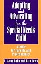Adopting and Advocating for the Special Needs Child