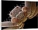 Canvas Prints of Scanning Electron Micrograph (SEM) of a Crab Spider (Xysticus sp.), from Robert Harding