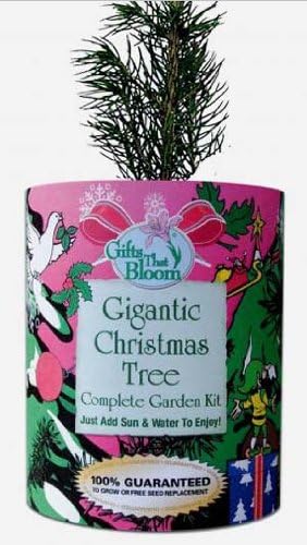 Gifts That Bloom - World's Largest Christmas Tree Garden Kit in a Can