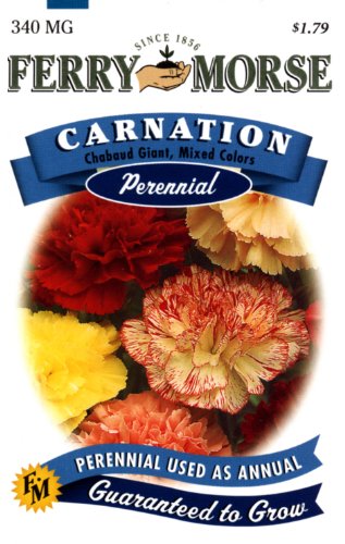 Ferry-Morse 1028 Carnation Perennial Flower Seeds, Chabaud Giant, Mixed Colors (340 Milligram Packet)