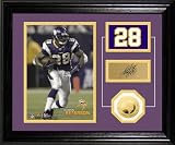 Highland Mint NFL Minnesota Vikings Adrian Peterson Player Pride Desk Top Photomint